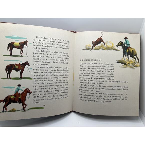 The First Book of Horses - McLennan McMeekin Hardcover DJ 1949 - Picture 3 of 6